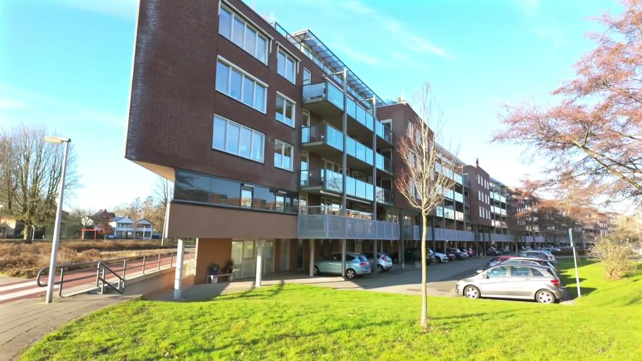 Video of Rijsenborch 233