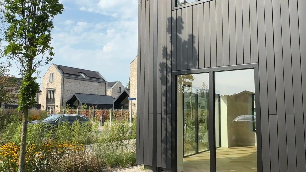 Video van IJsvogel 15