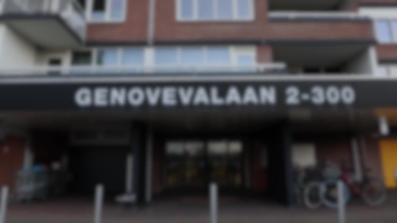 Video van Genovevalaan 294