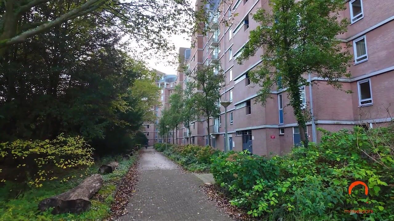 Video of Leksmondhof 296