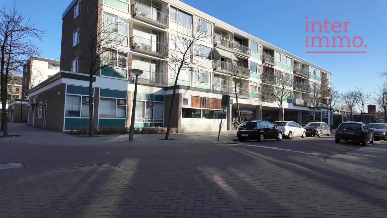Video of Brittenburg 39