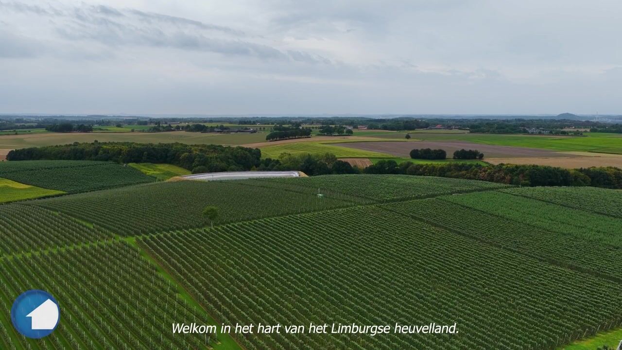 Video van Meesweg 11
