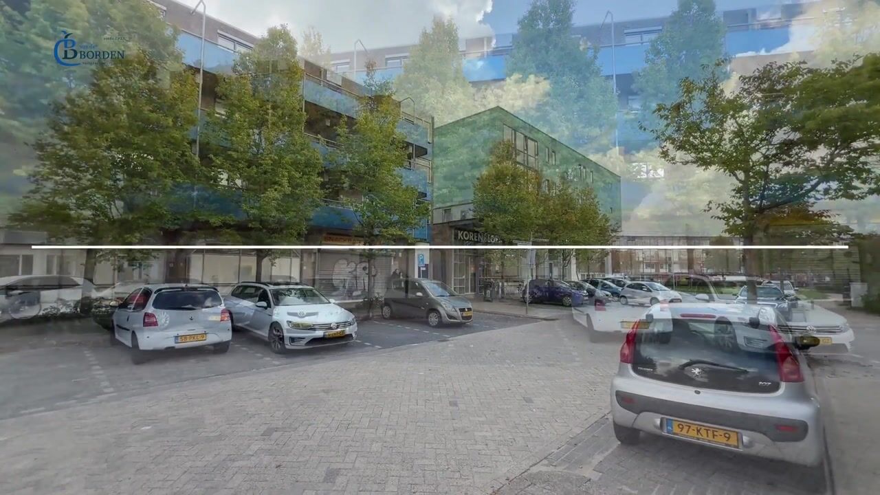 Video van Korenbloem 101