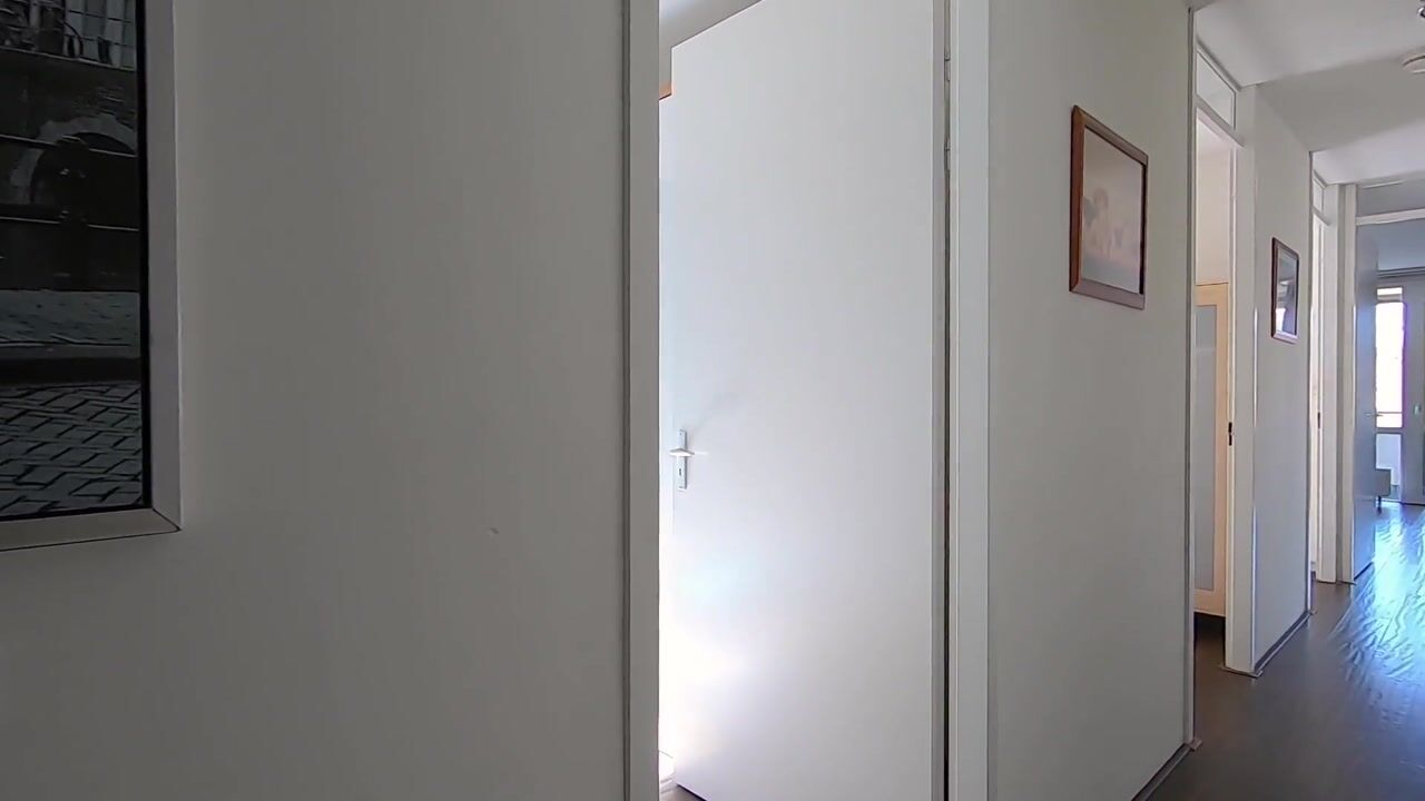 Video van Johan Hofmanstraat 133
