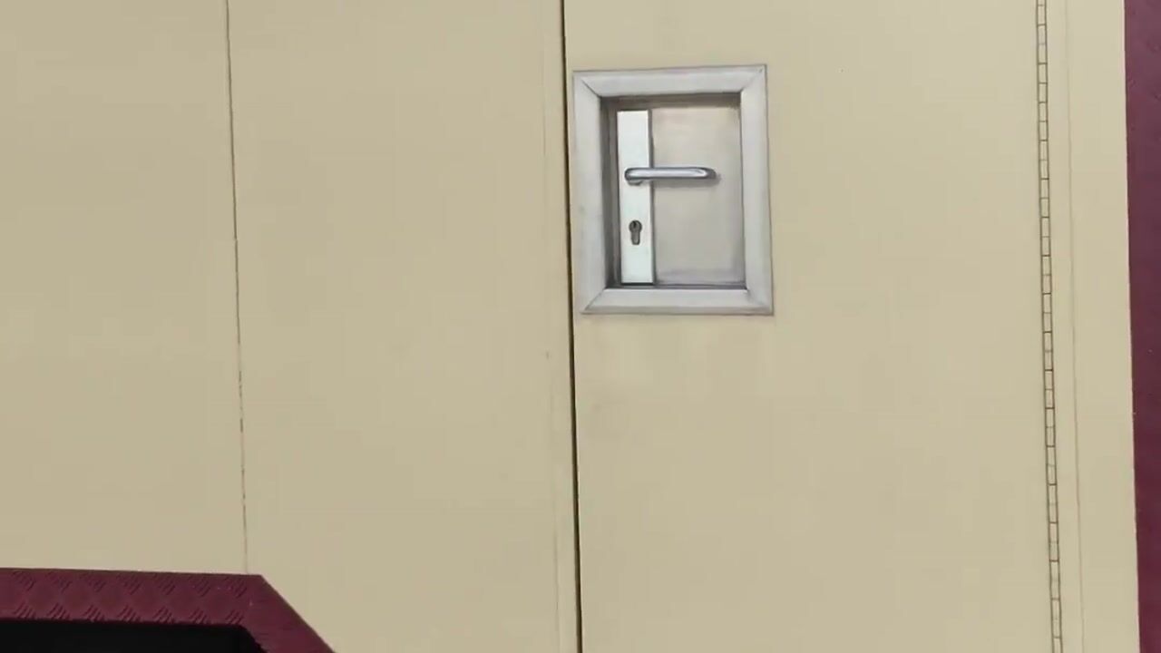 Video van Frankentaler 7