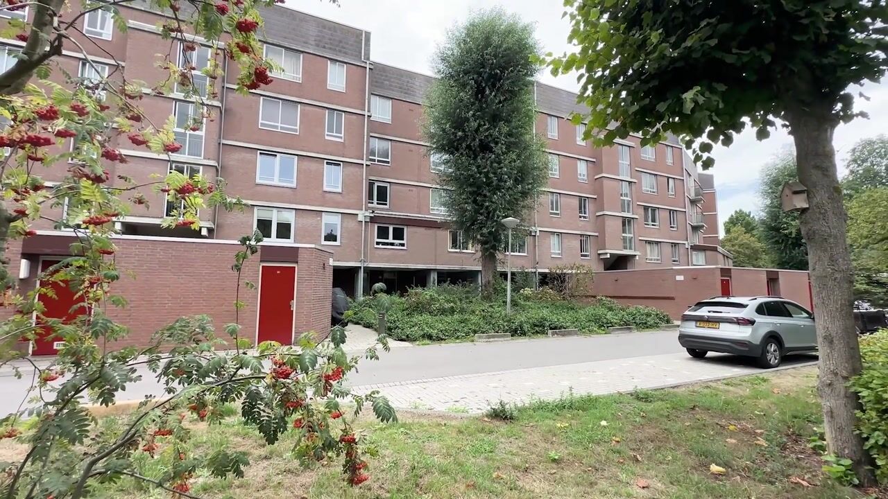Video van Leerdamhof 464