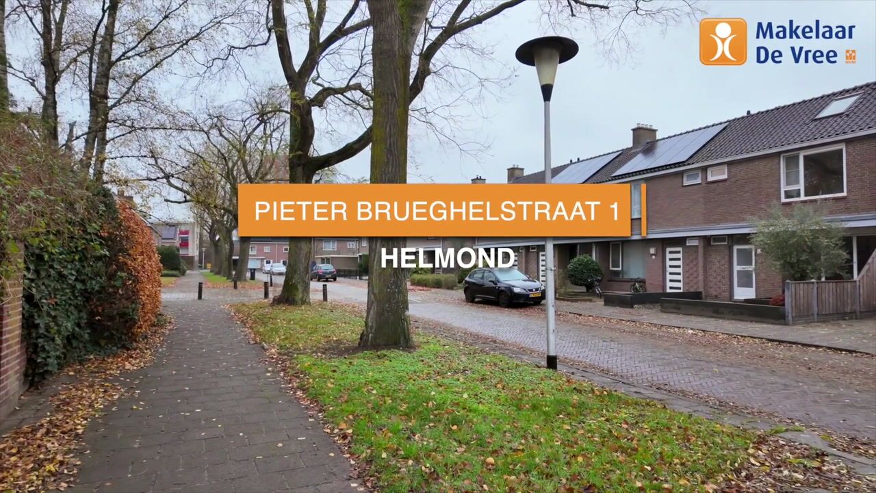 Video van Pieter Brueghelstraat 1