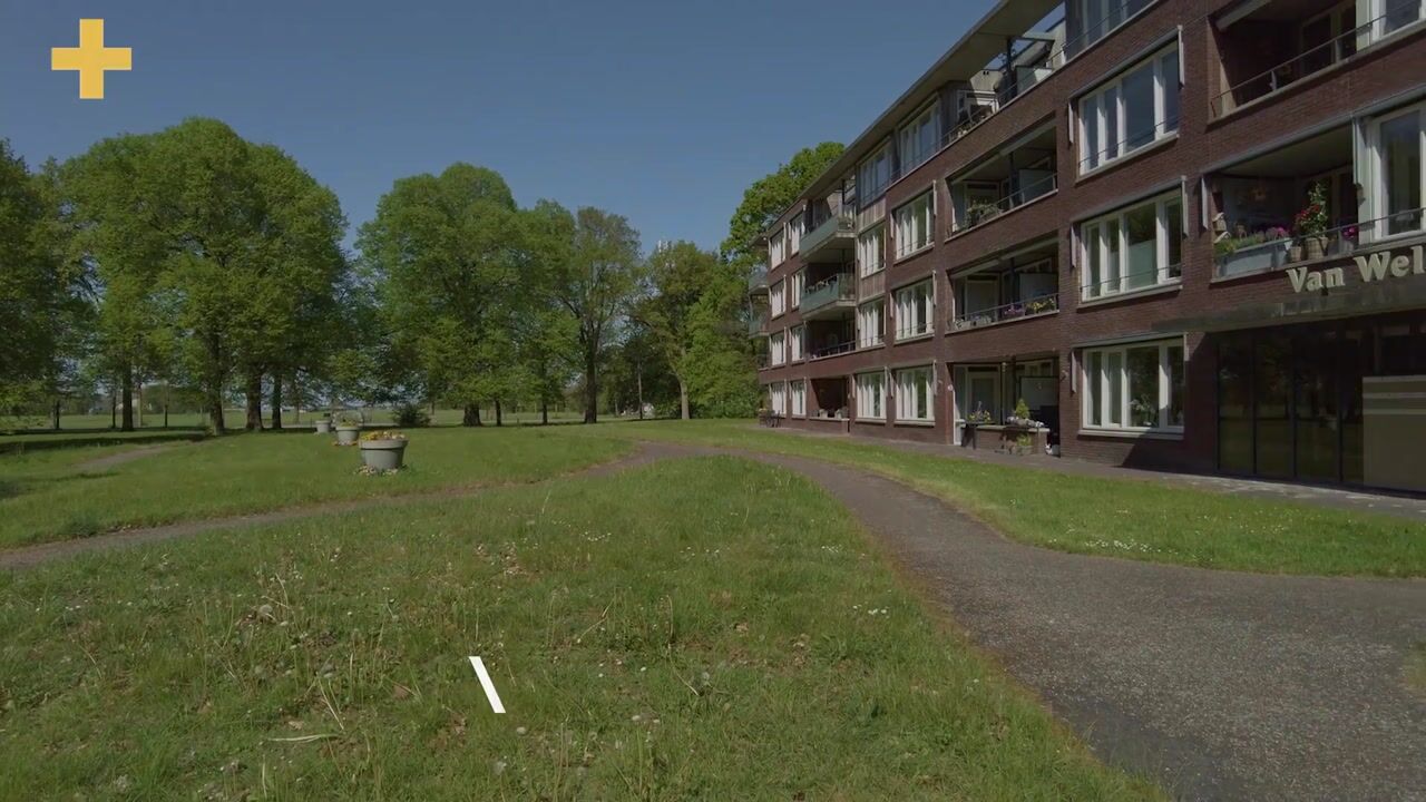Video of Frisiastate 96
