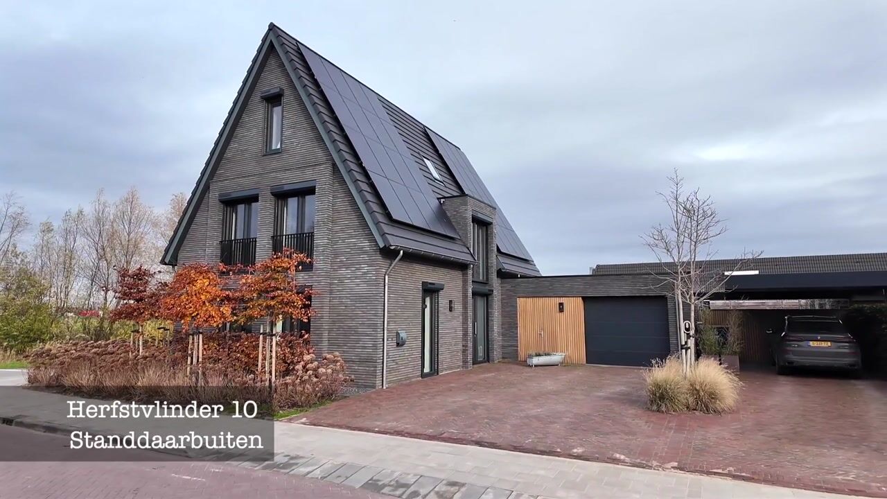 Video of Herfstvlinder 10