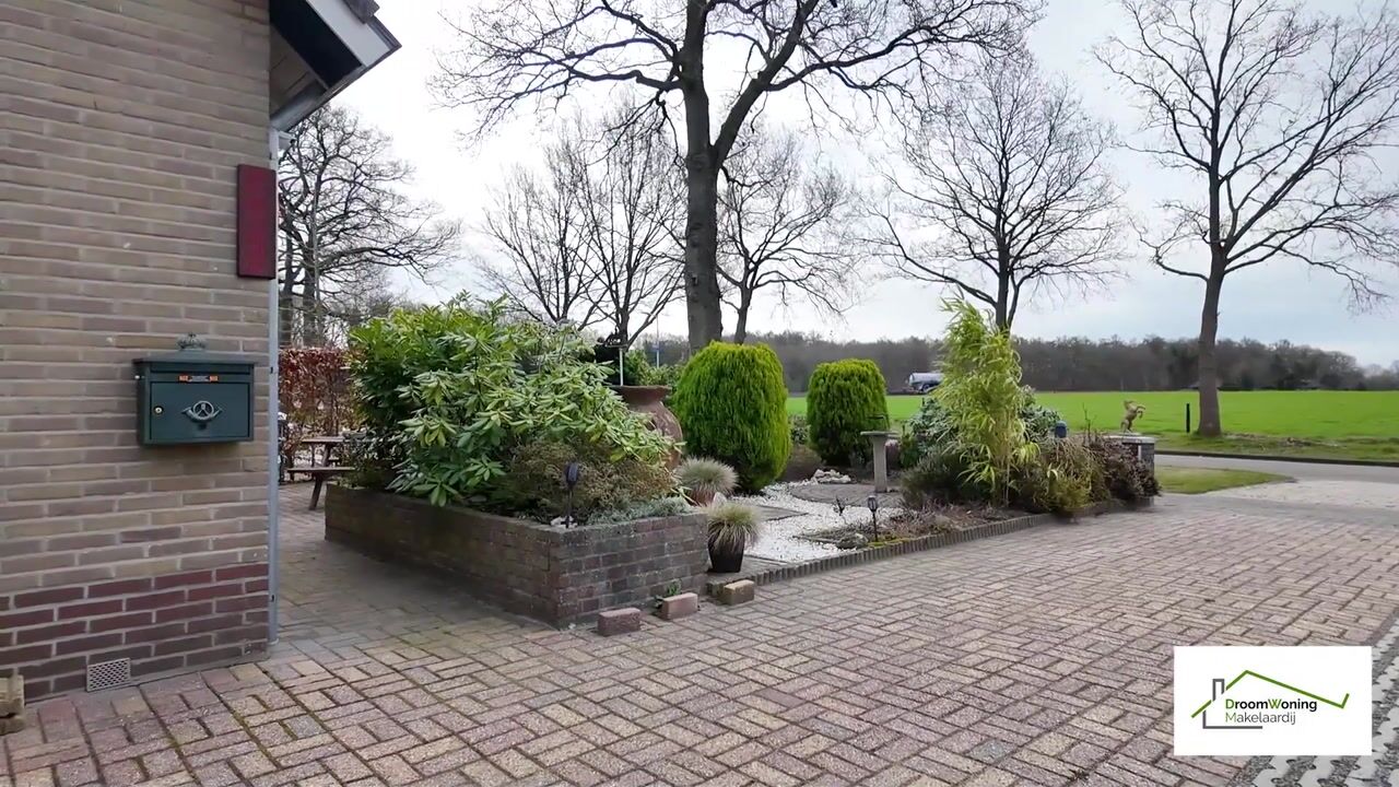 Video of Oosterse Es 41