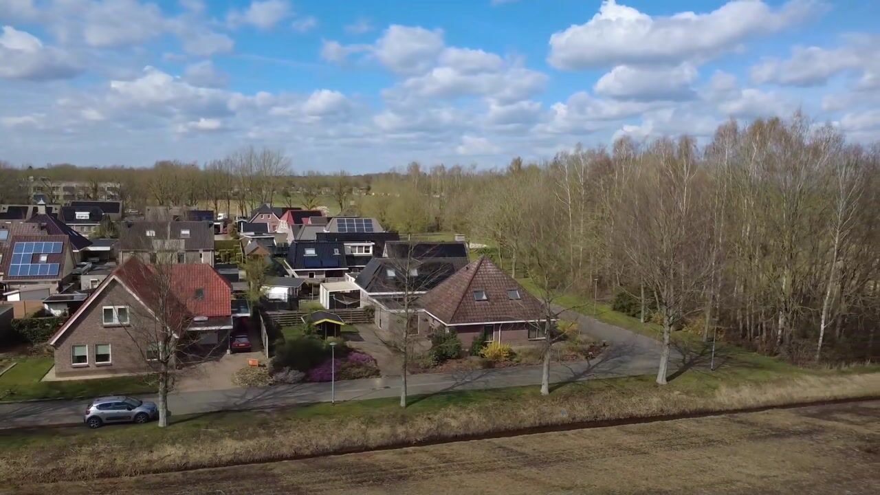 Video of Boerhoorn 9