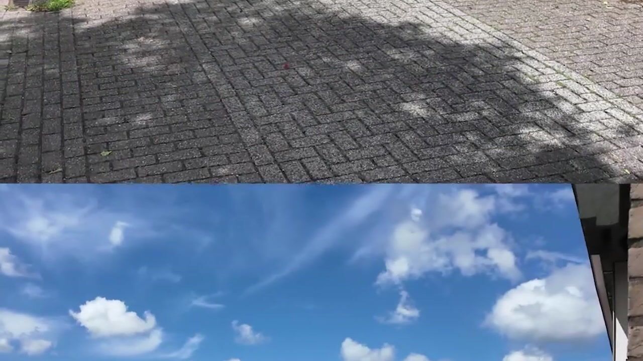 Video van Rendiermos 6