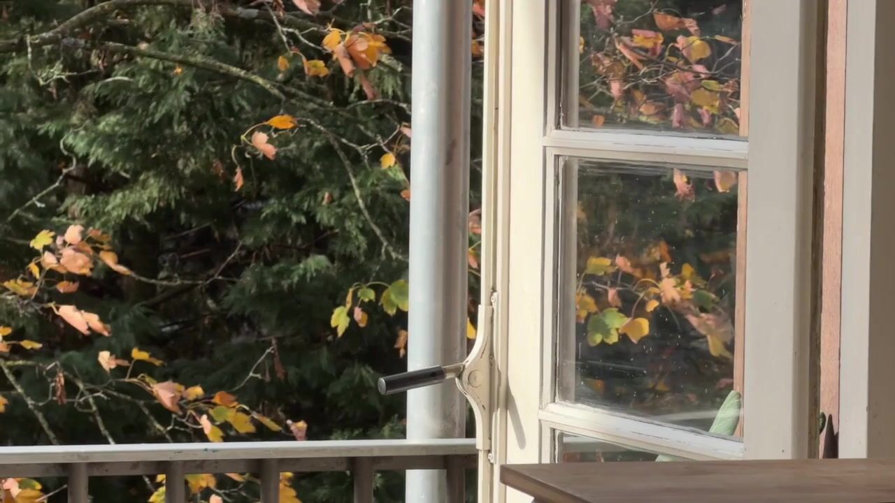 Video van Willem de Zwijgerlaan 107-3