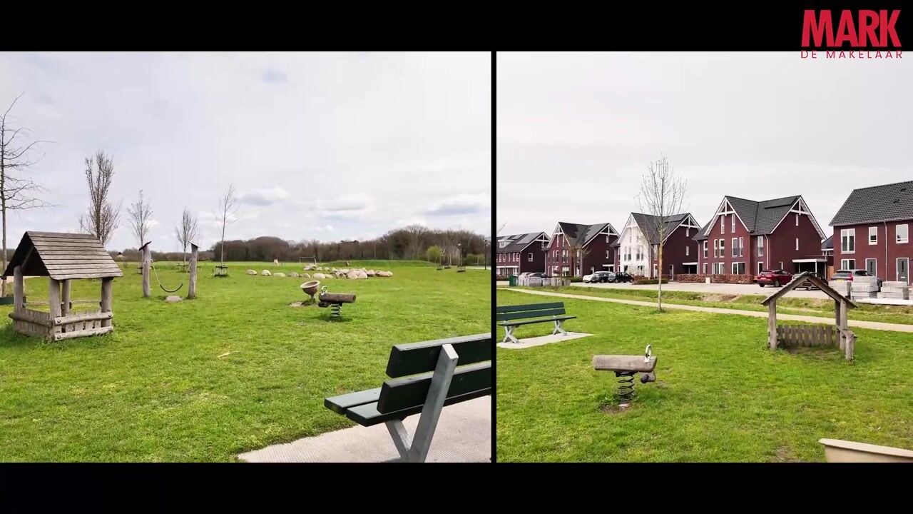 Video of Schutsboom 20