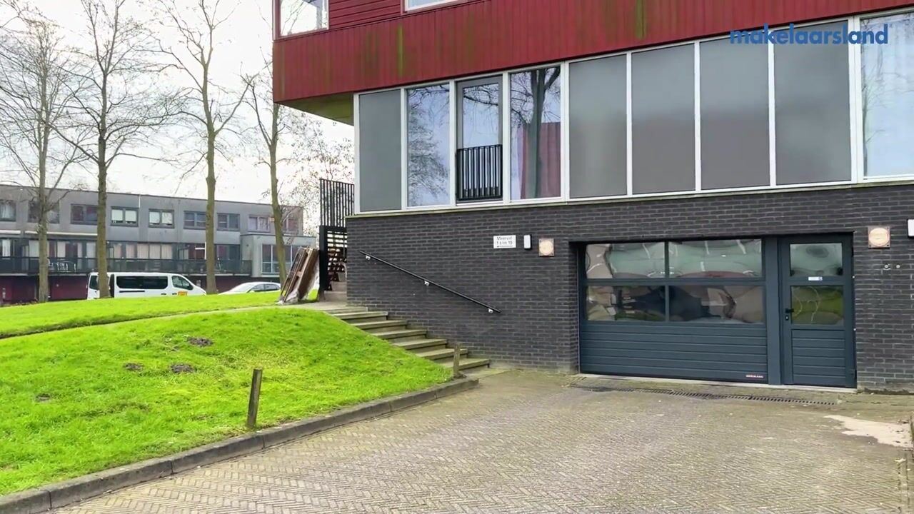 Video van Meerval 17