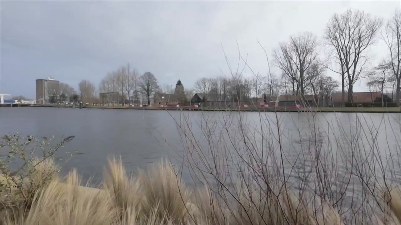 Video van Bellevuelaan 385