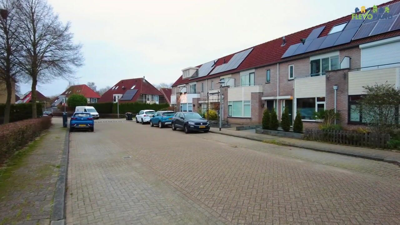 Video of Schokker 42