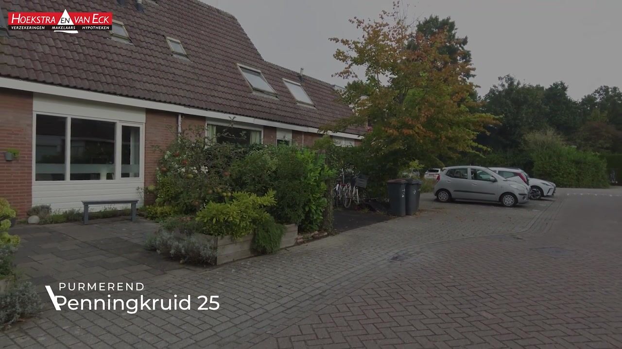 Video van Penningkruid 25