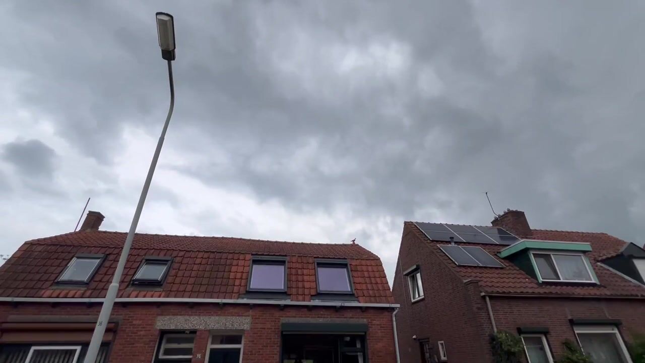 Video van Singel 37