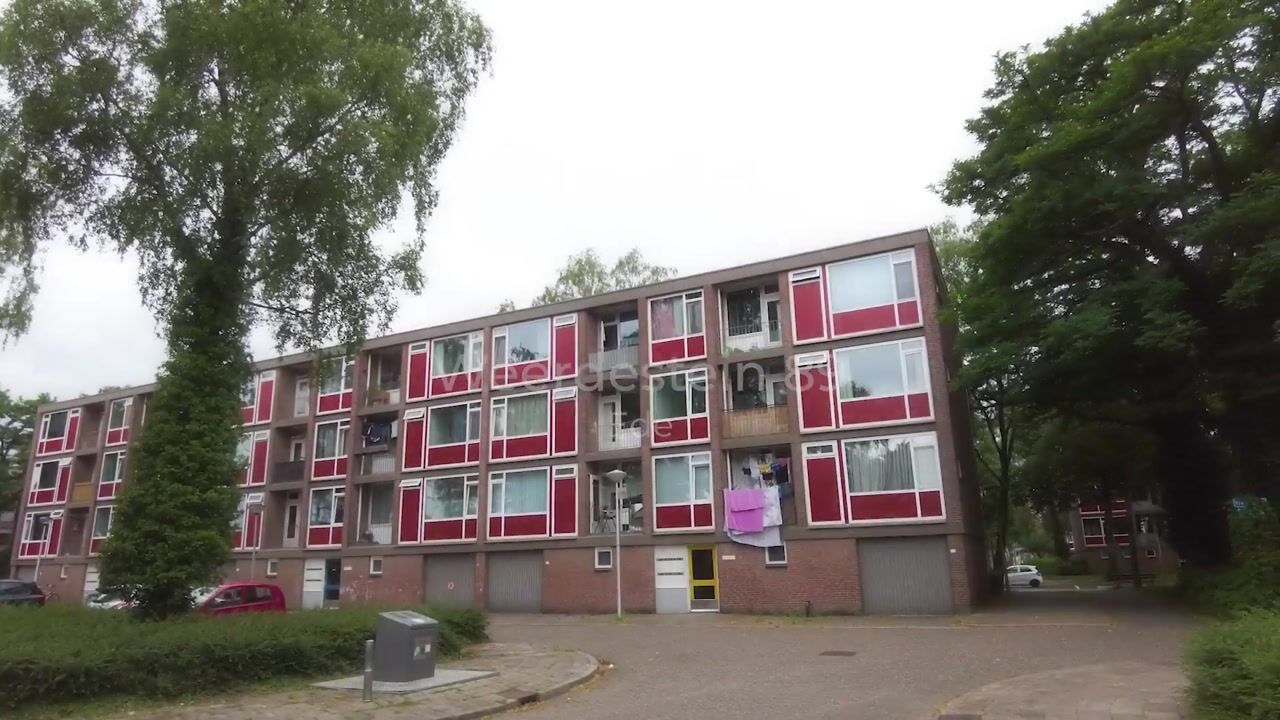 Video van Weerdestein 89