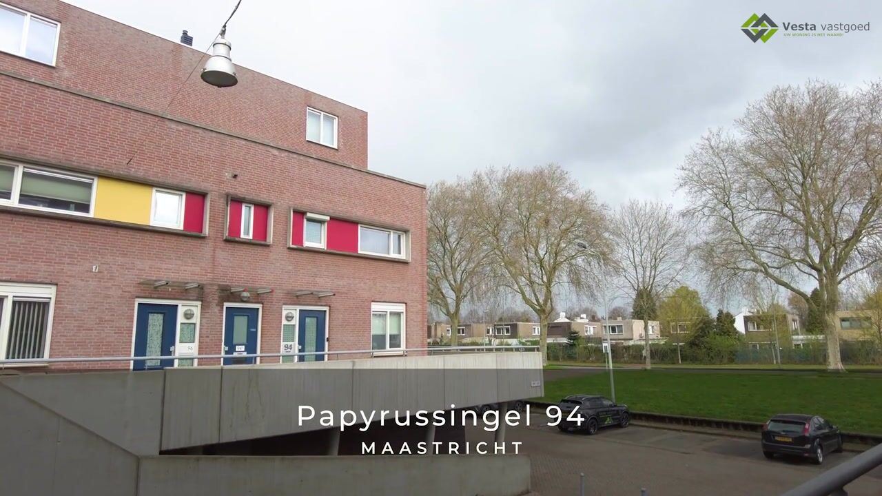 Video of Papyrussingel 94
