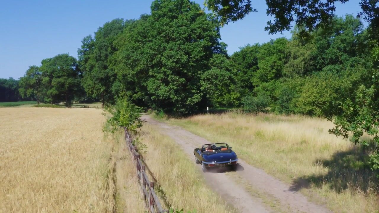 Video of Pepereind 20