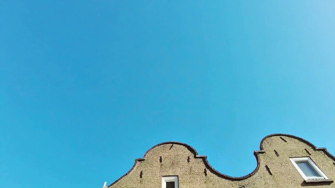 Video van Westvest 4-D