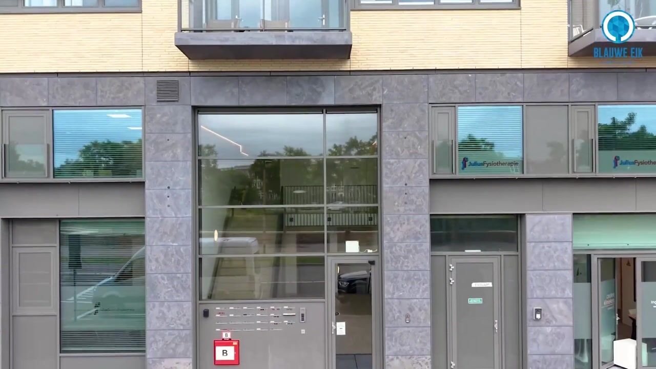 Video of Grauwaartsingel 492
