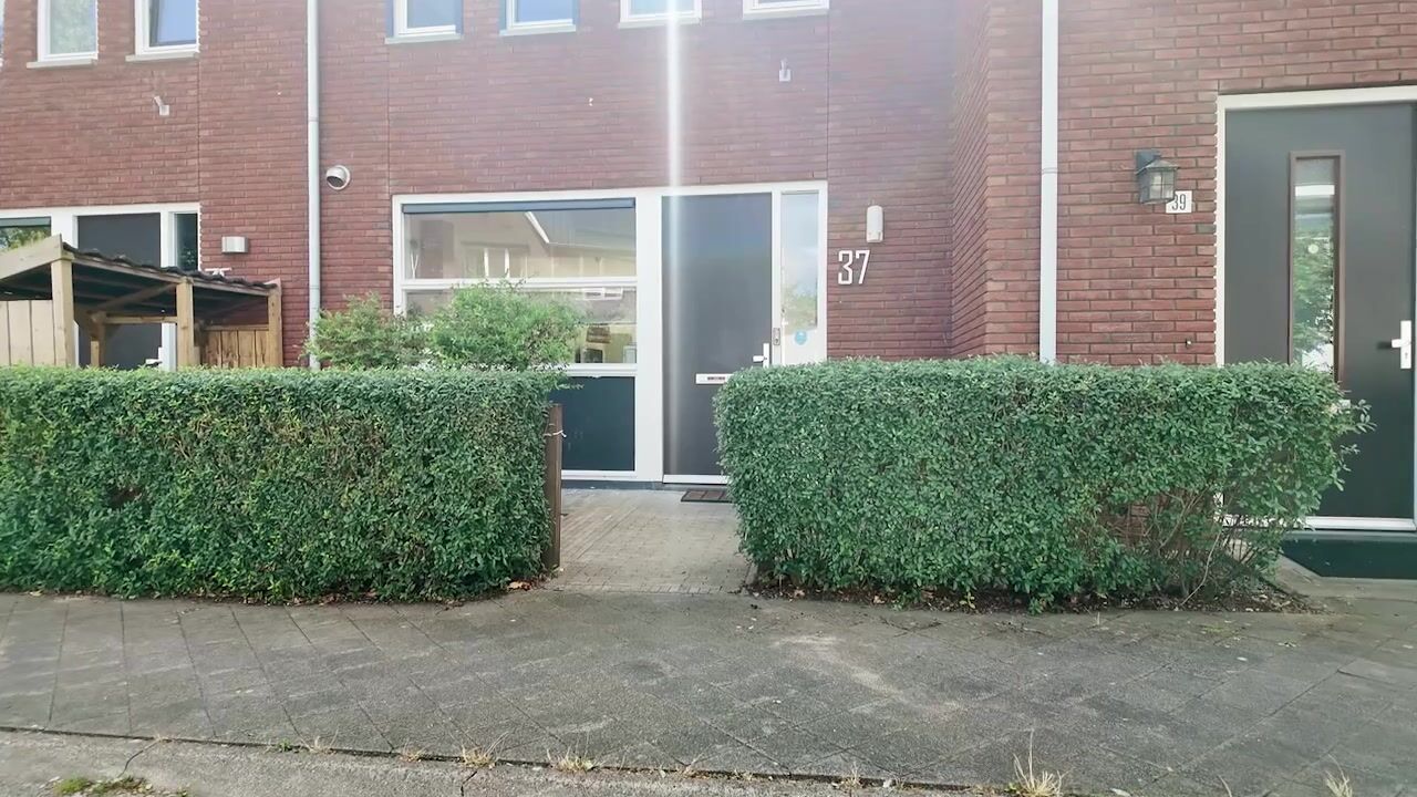 Video van Tribunusallee 37