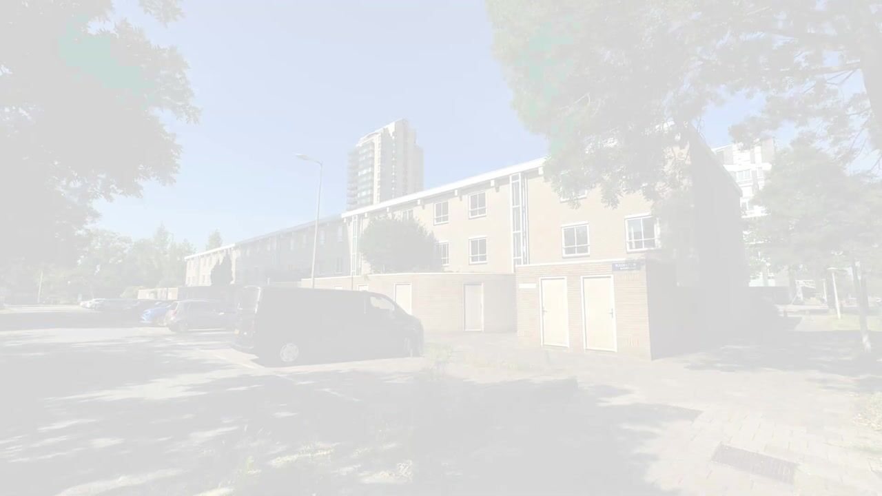 Video van Bulgerstein 8