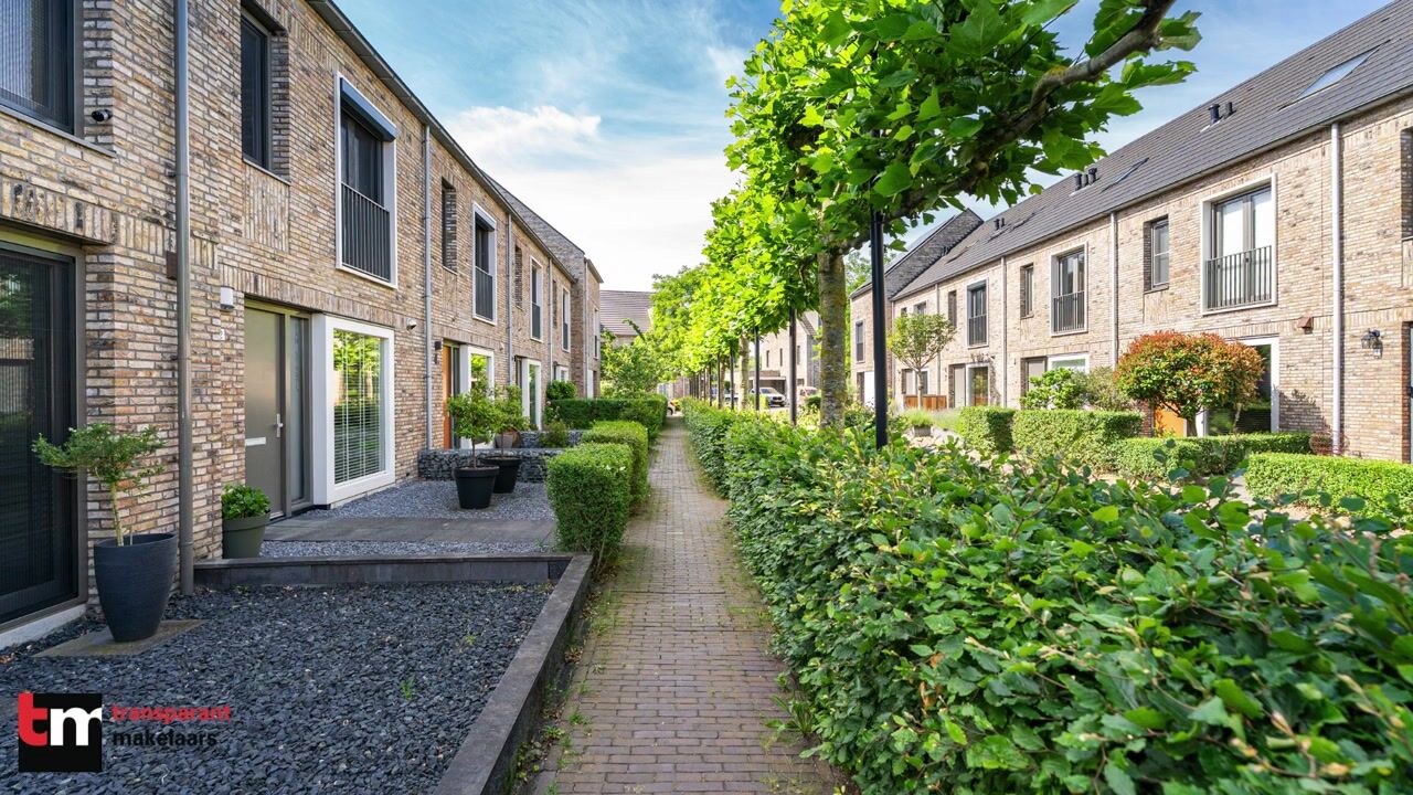 Video van Zaamslagstraat 2