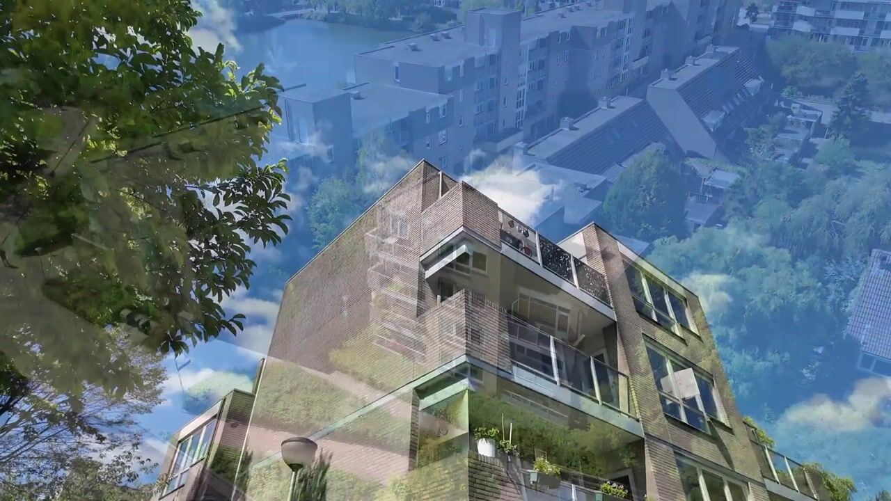 Video van Henry Moorepassage 71