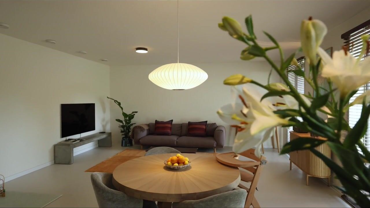 Video van Philips de Schonepad 12