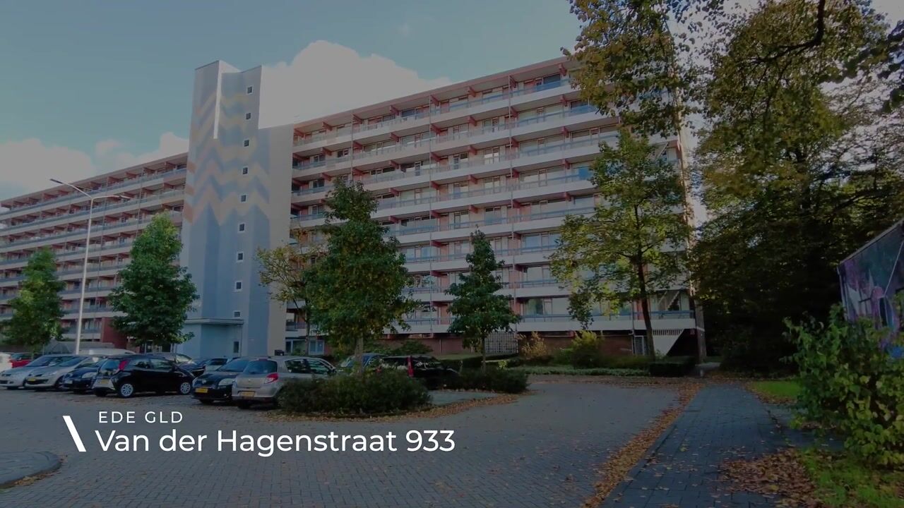 Bekijk video van Van der Hagenstraat 933