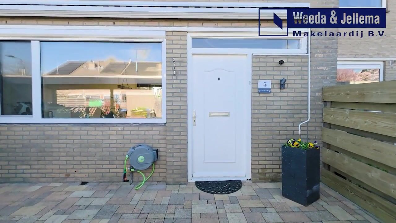 Video of Ganzebloem 5