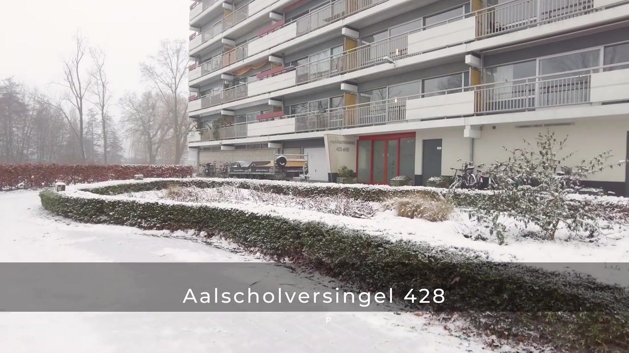Video van Aalscholversingel 428