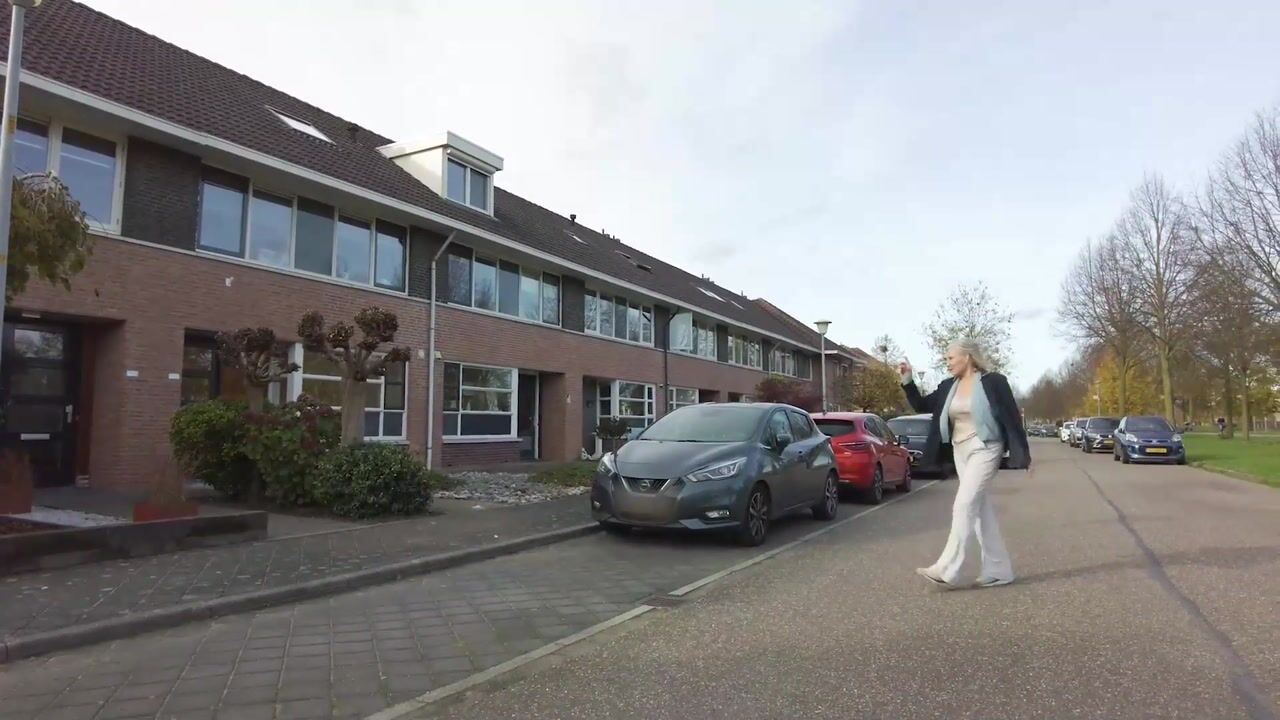 Video of de Flier 3654