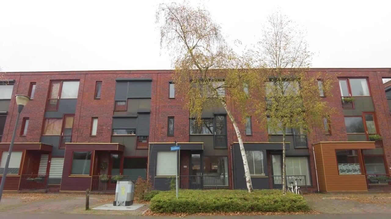 Video of Grasbloem 107