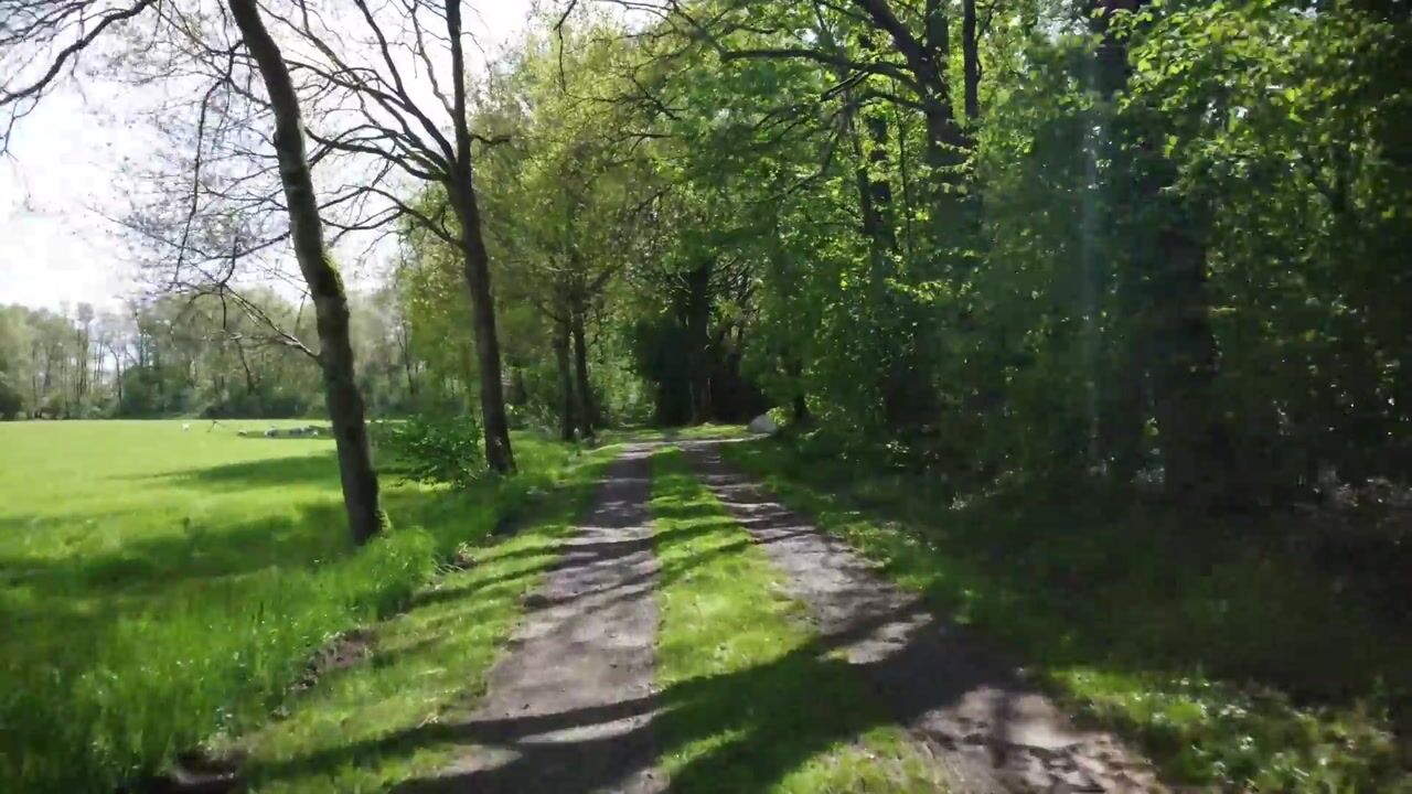 Video of Kolonieweg 16