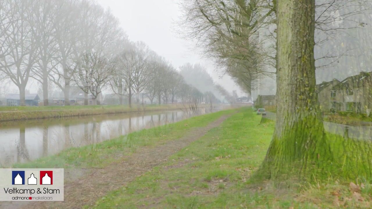 Video van de Kade 16