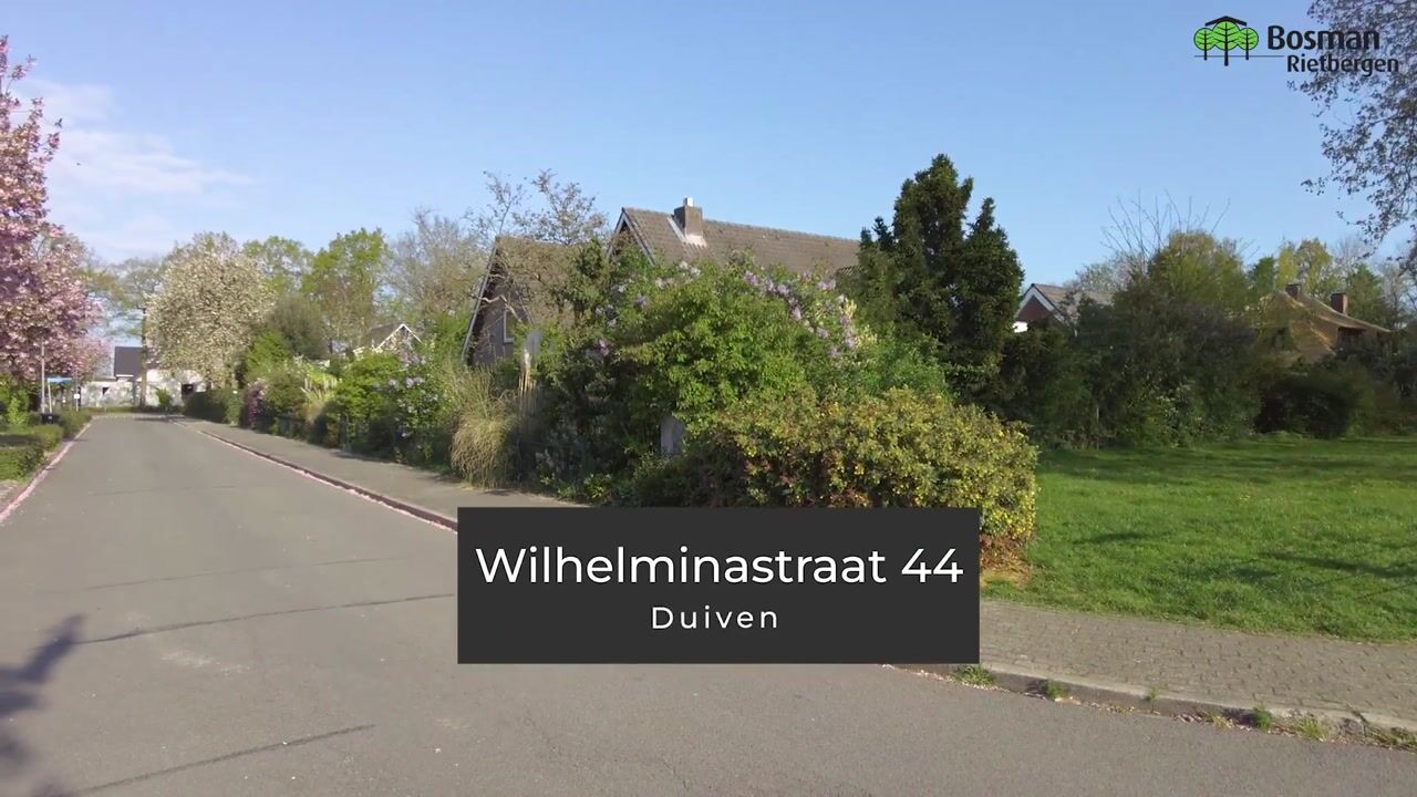 Video of Wilhelminastraat 44