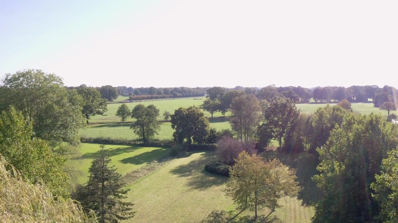 Video van Bolkshoeksweg 16