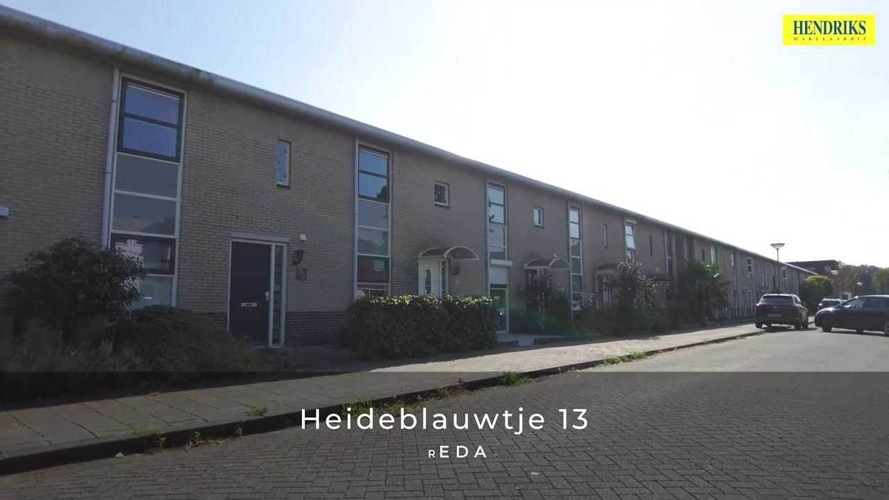 Bekijk video van Heideblauwtje 13