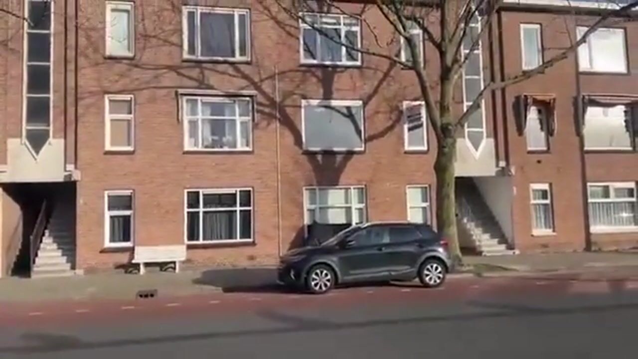 Video of Soestdijksekade 66