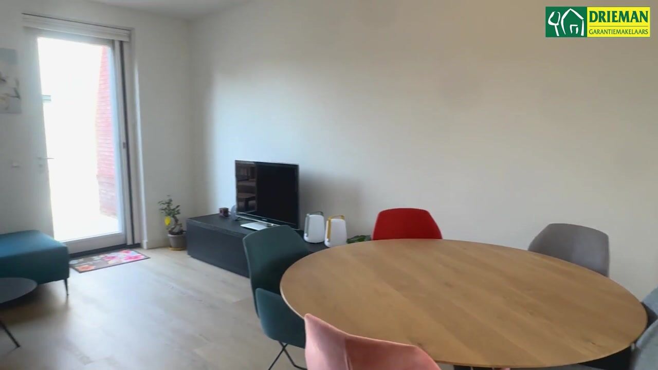 Video of Penningkruid 88