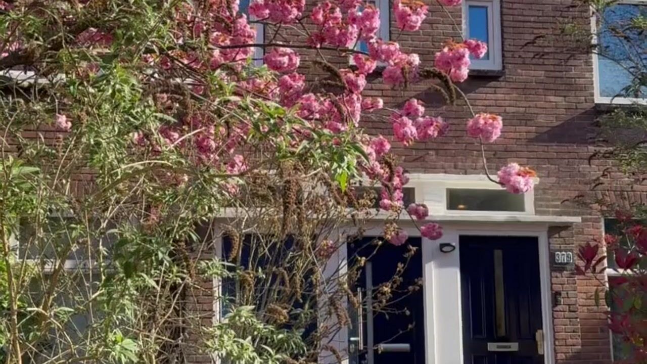 Video van Johan de Wittlaan 379