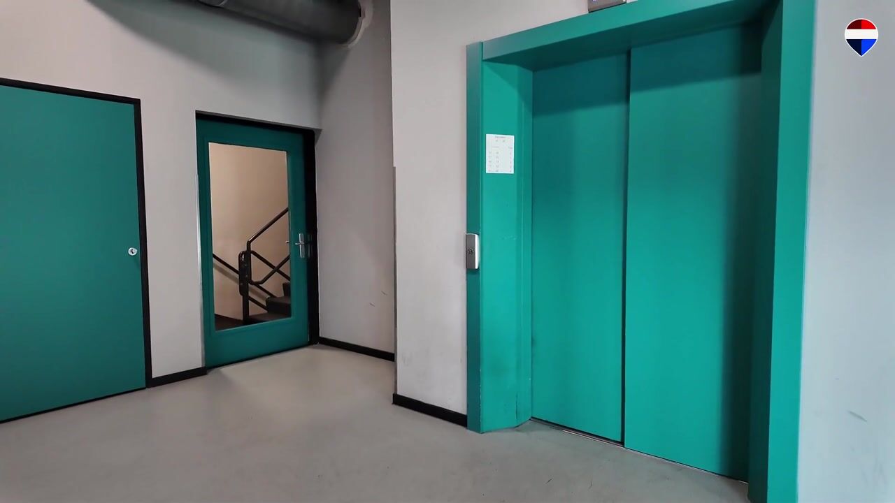 Video of Zandsteen 78