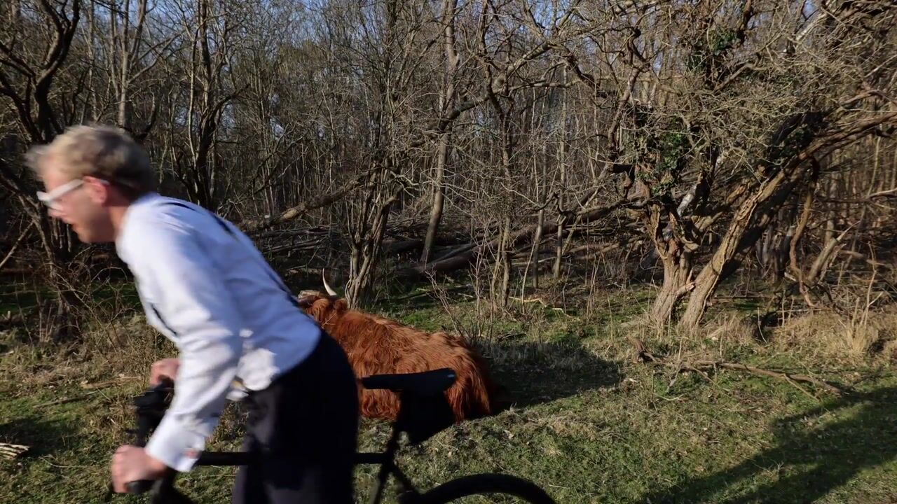 Video van Geversweg 3