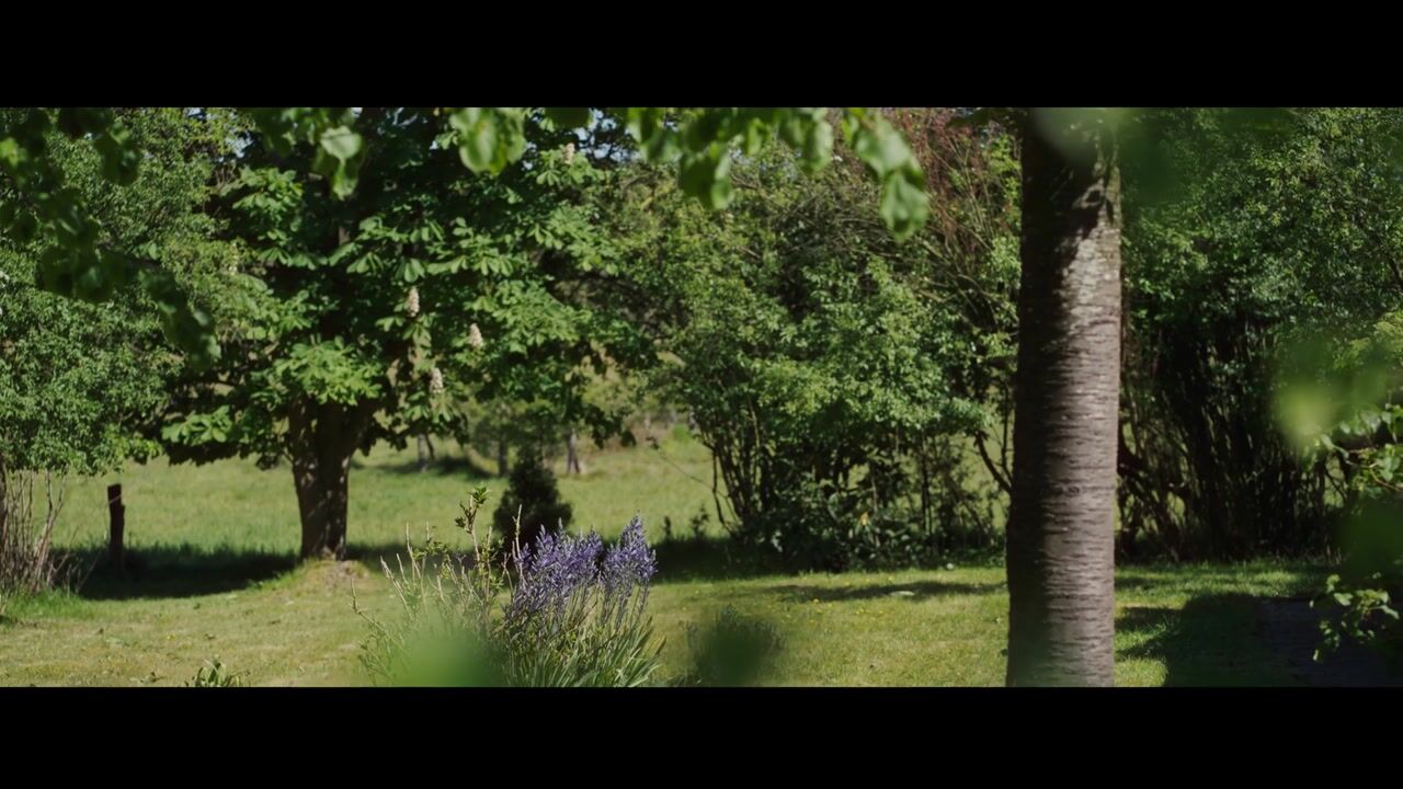 Video van Grimbergerzijweg 4
