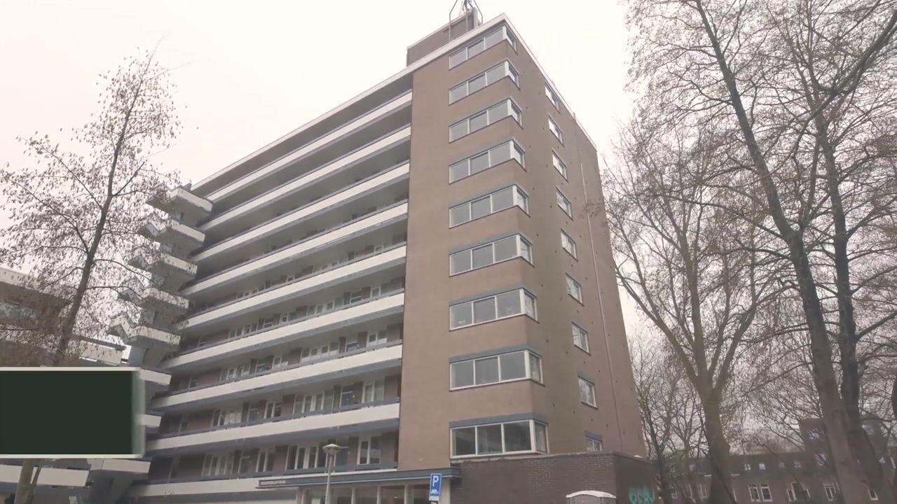 Video van Bolestein 256